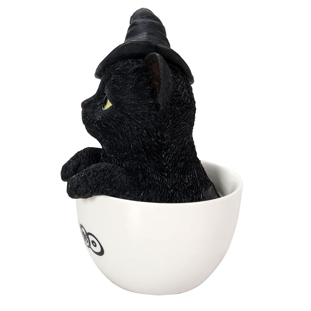 Black Kitten In A Tea Cup