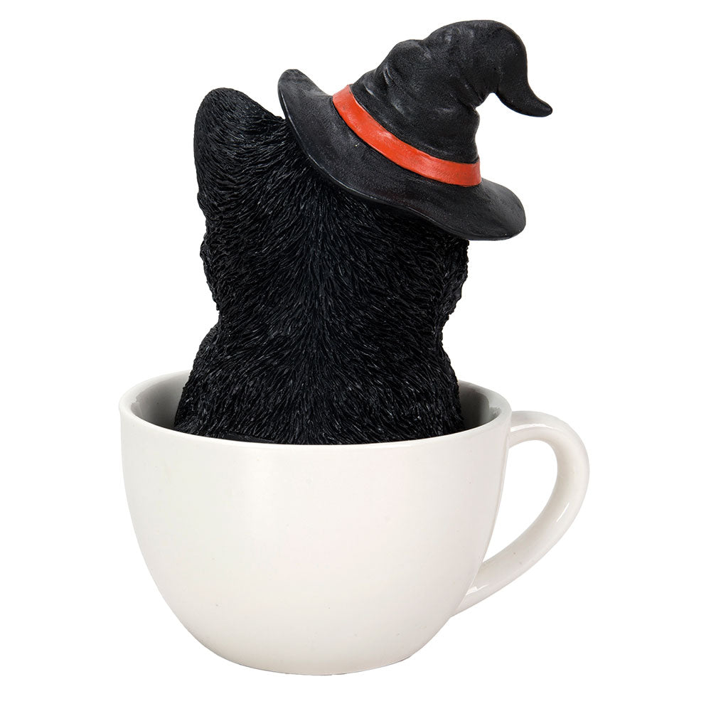 Black Kitten In A Tea Cup