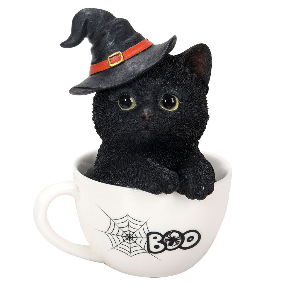 Black Kitten In A Tea Cup