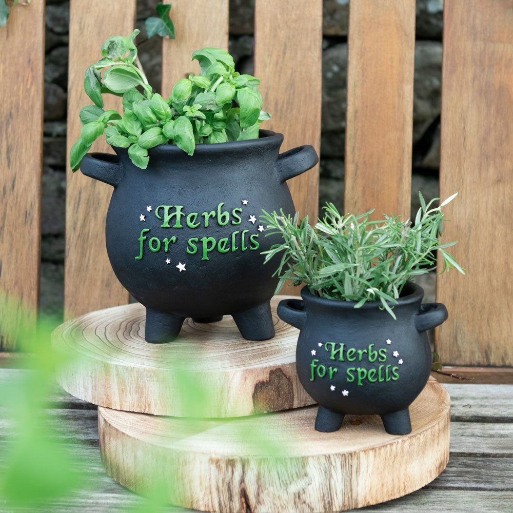 Herbs For Spells Cauldron Planter C/8