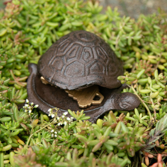 TURTLE KEY HIDER