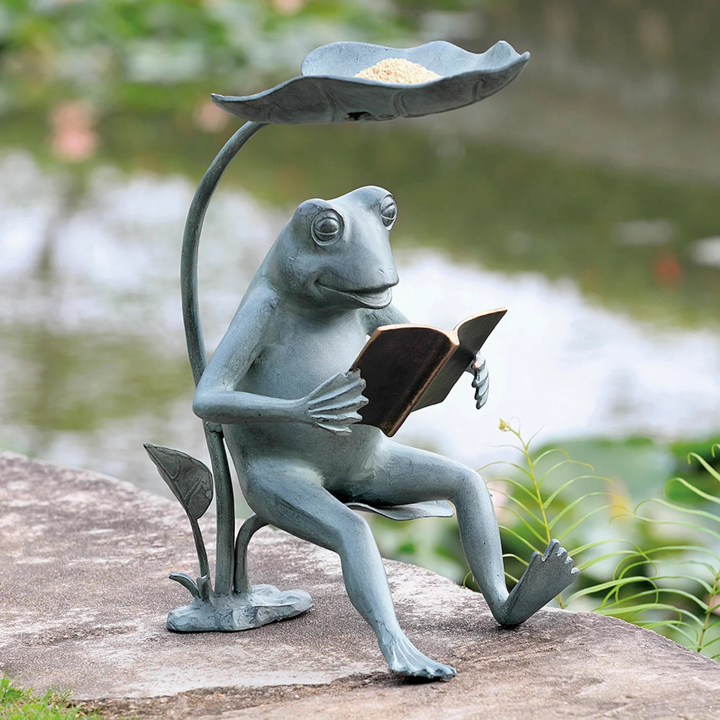 Reading Frog Birdfeeder With LED Light