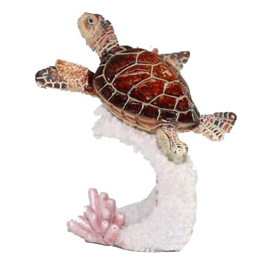 4-1/2" Turtle In Coral