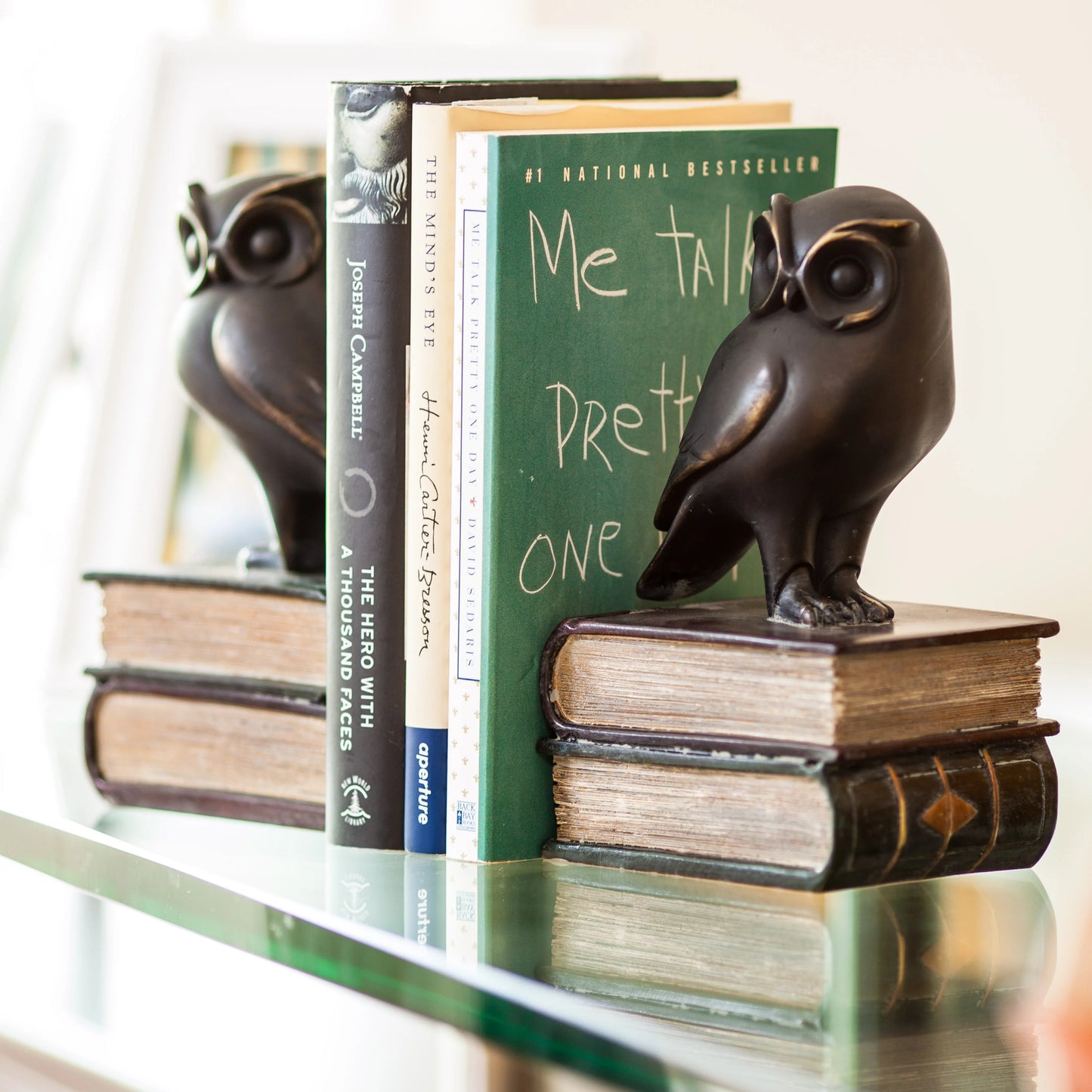 Danya B. Owl on Books Bookend Set