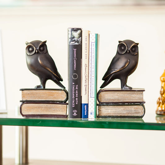 Danya B. Owl on Books Bookend Set