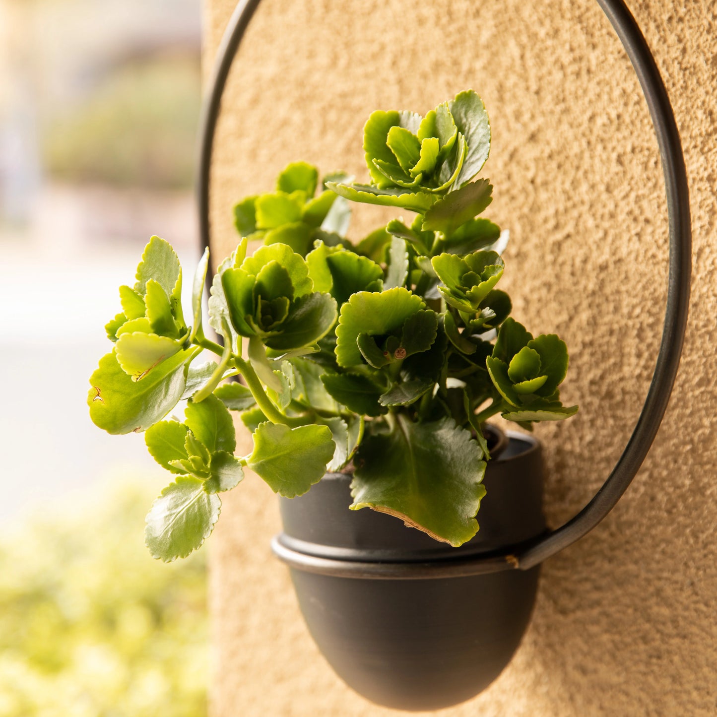 Urban Green 2-Piece Black Metal Hanging Planter Set