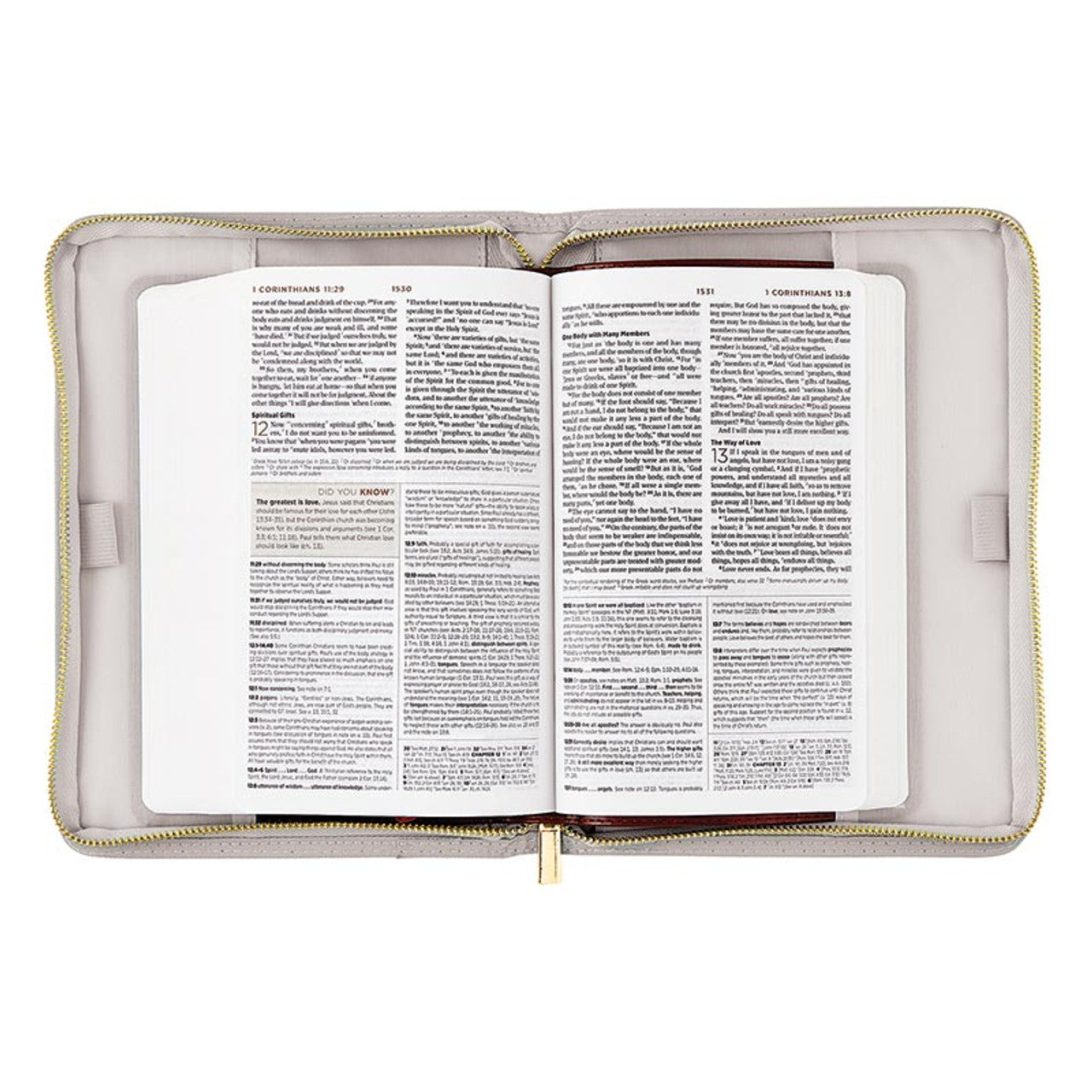 Bible Cover - Psalm 119:105