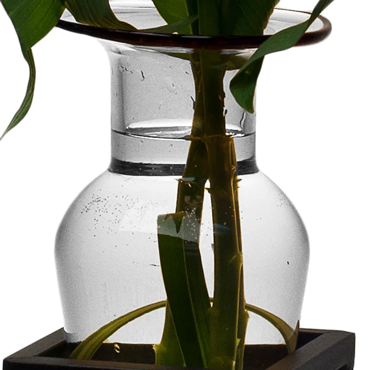 Clear Amphora Vase on Half Moon Metal Stand