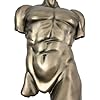 Wall Plaque Male Torso -267 (Bronze)