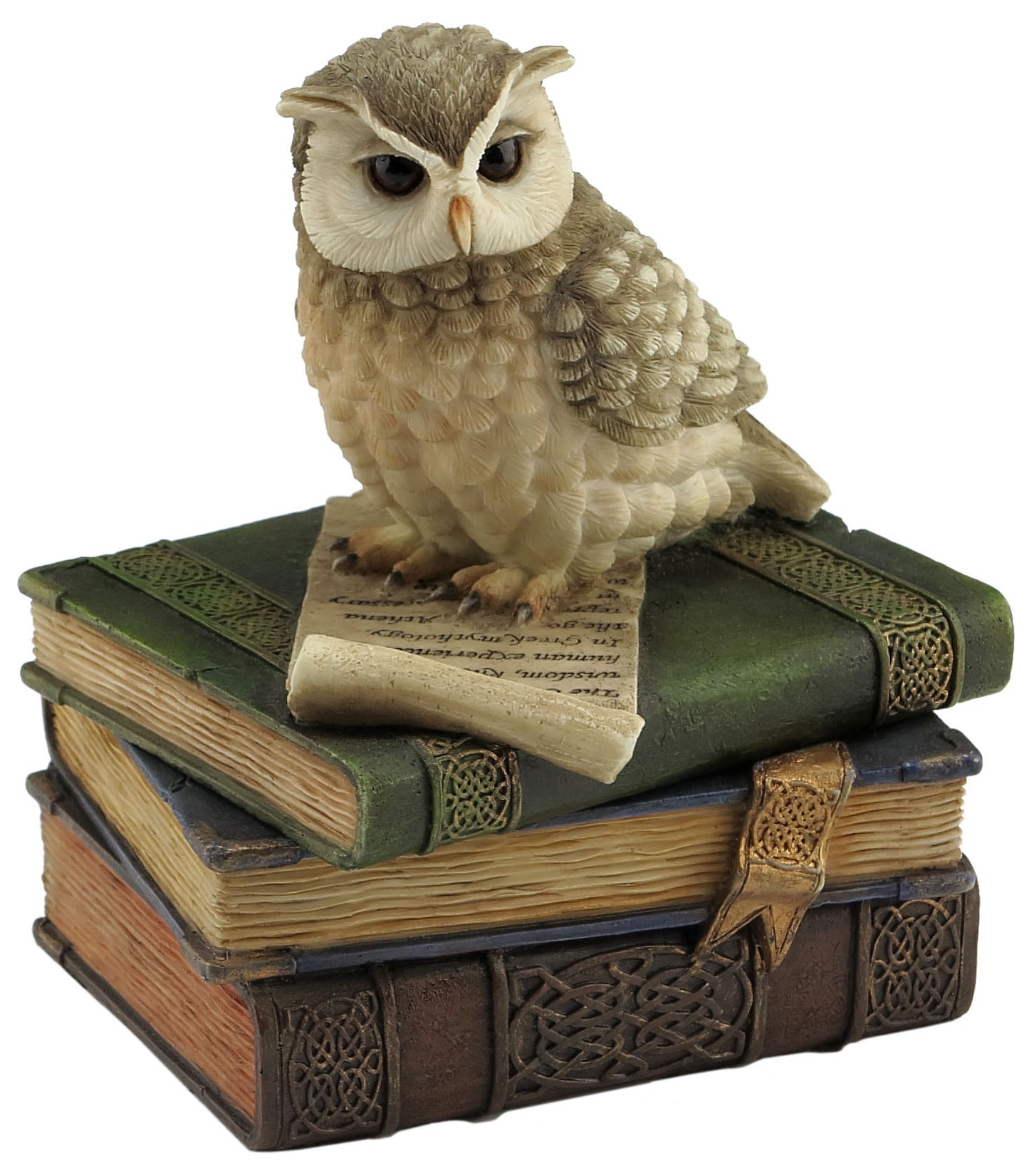 Collared Scopes Owl On Books Trinket Box