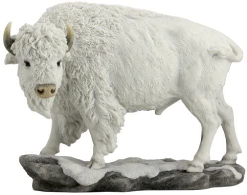 White Bison