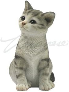 Sitting Tabby Kitten