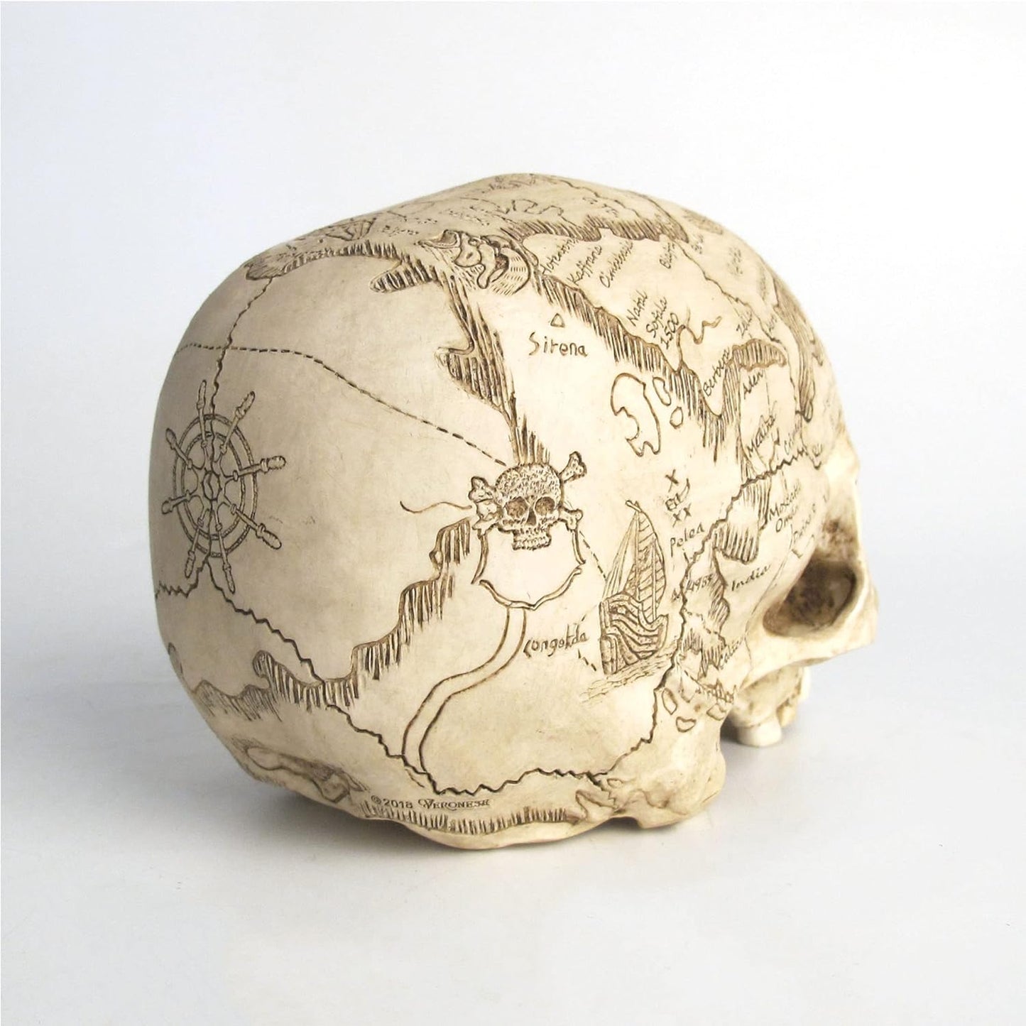 Craniumography Skull Map