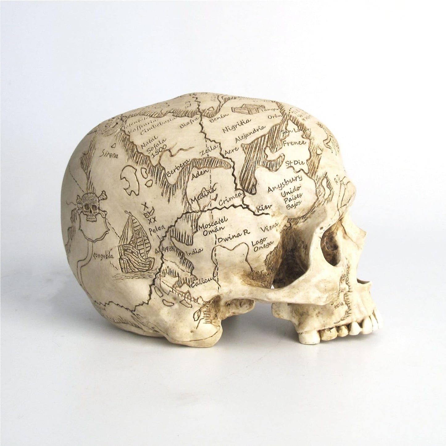 Craniumography Skull Map