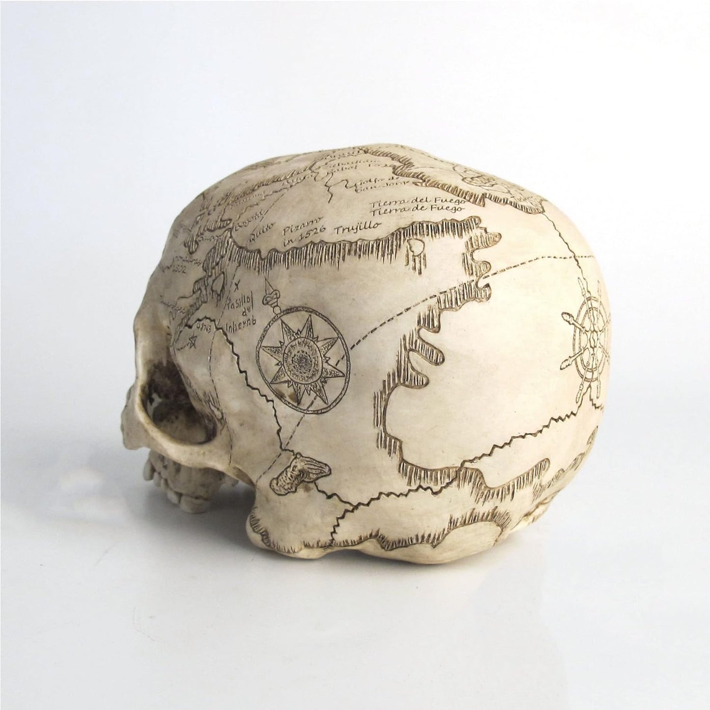 Craniumography Skull Map