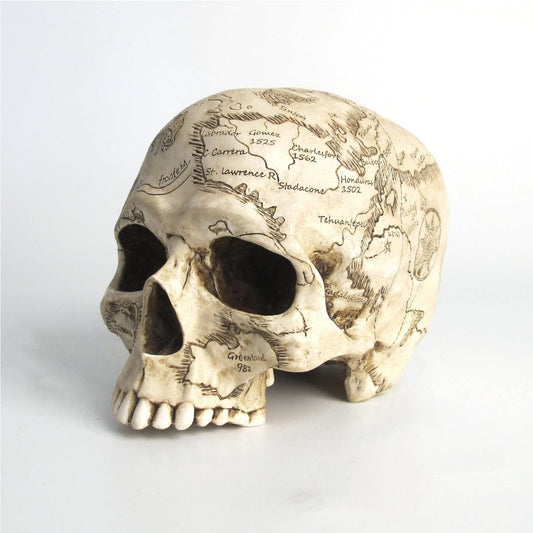 Craniumography Skull Map