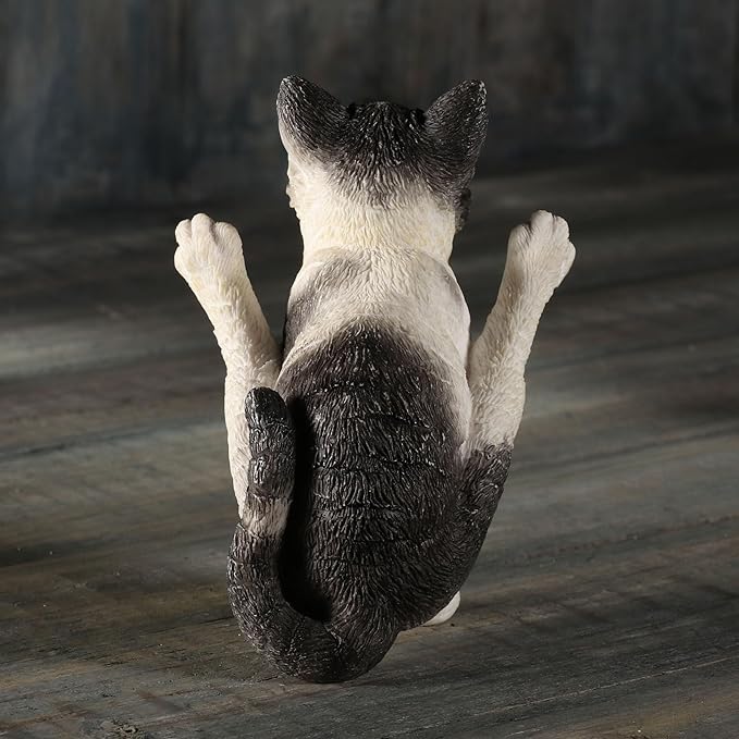 Black N White Yoga Cat Firefly Pose