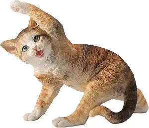 Yellow Tabby Yoga Cat Twist Pose