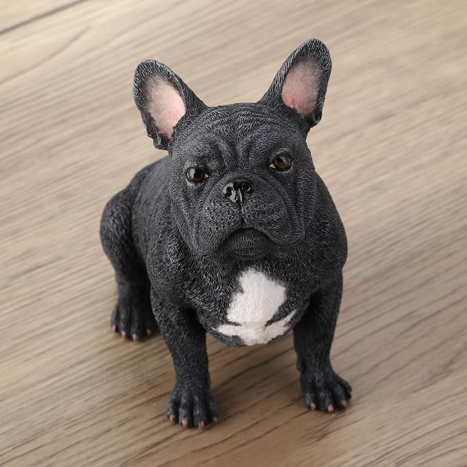 French Bulldog Sitting