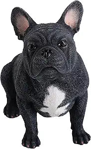 French Bulldog Sitting