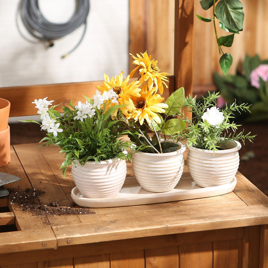 Set of Three Cream Round Ceramic Small Planter