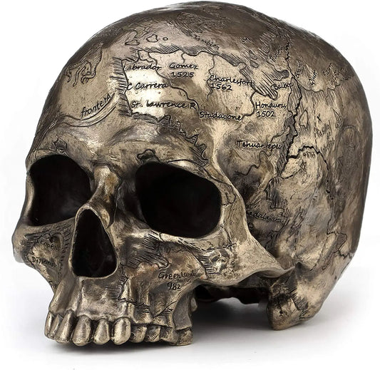 Craniumography Skull Map Statue